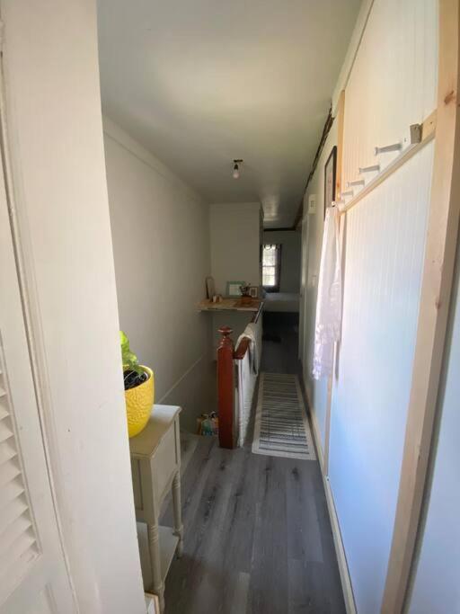 Studio Apt W Garden Kingston Eksteriør bilde